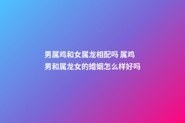 男属鸡和女属龙相配吗 属鸡男和属龙女的婚姻怎么样好吗